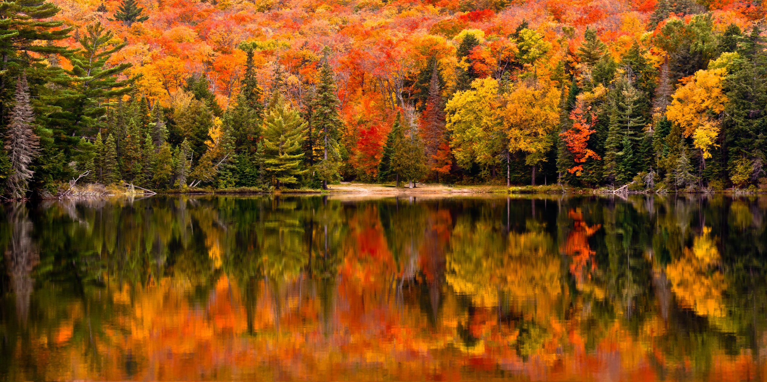 A beautiful Fall landscape in a deciduous forest biome
